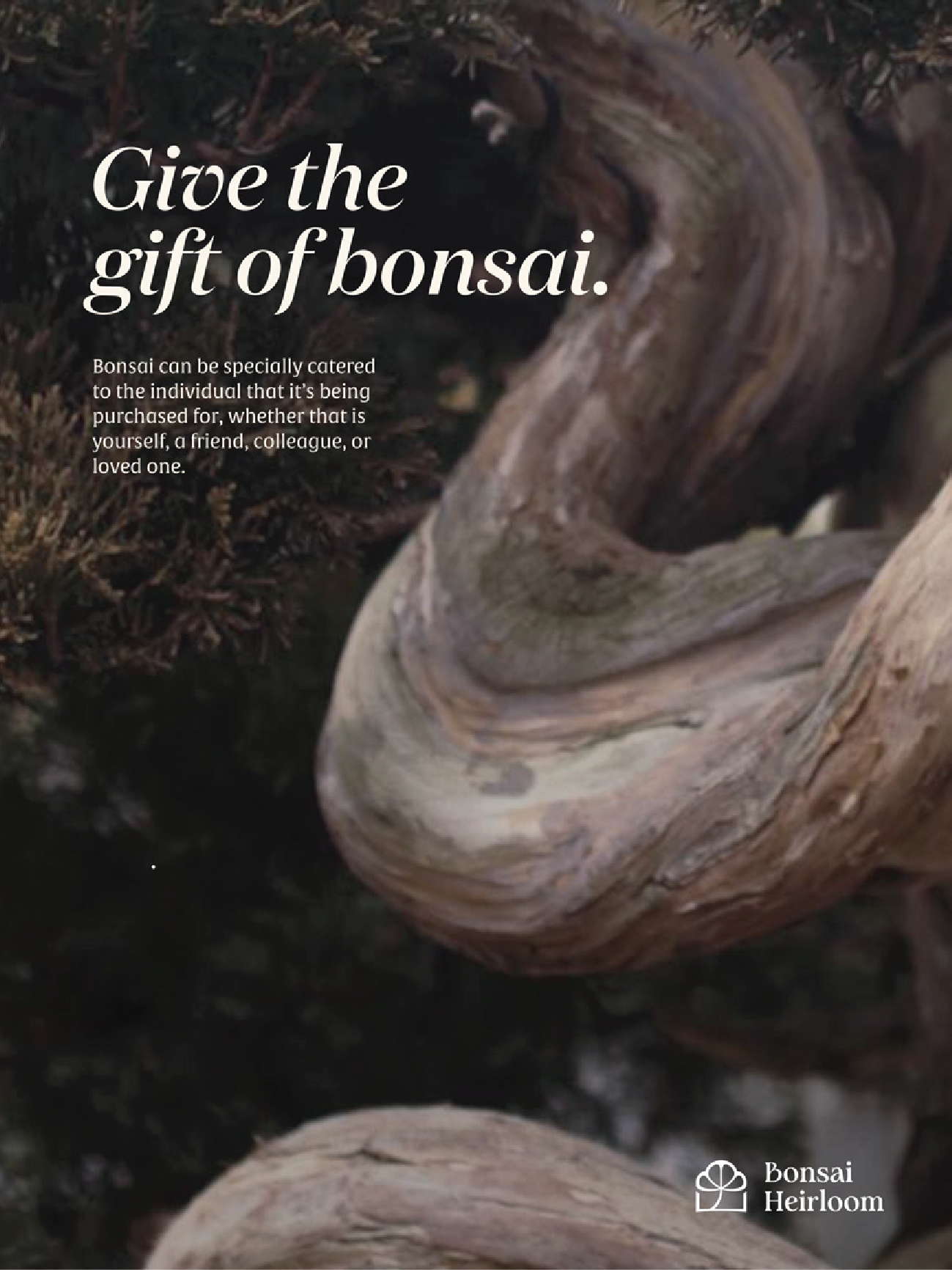 Flyer — Give the gift of bonsai