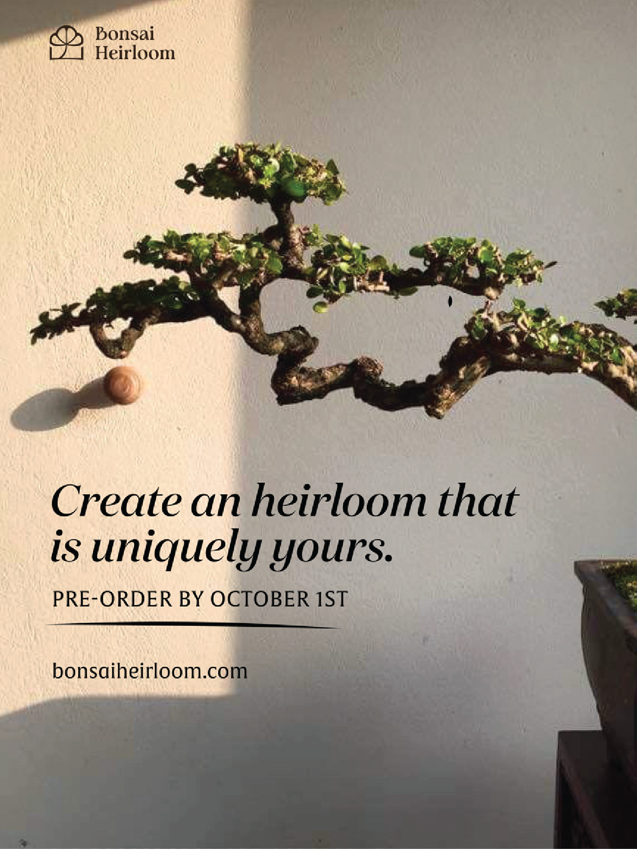 Flyer — Create an heirloom