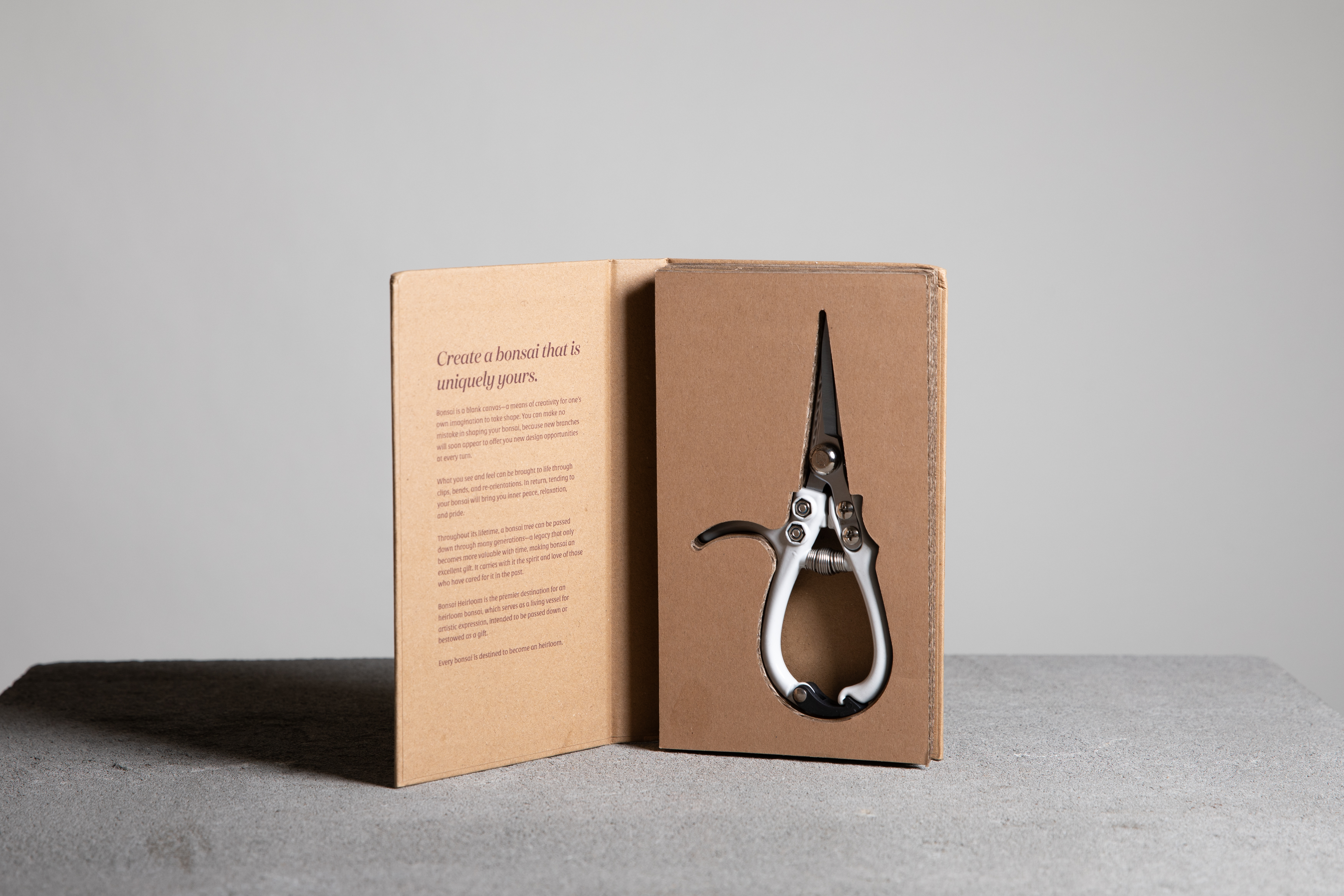 Clipping shears box interior