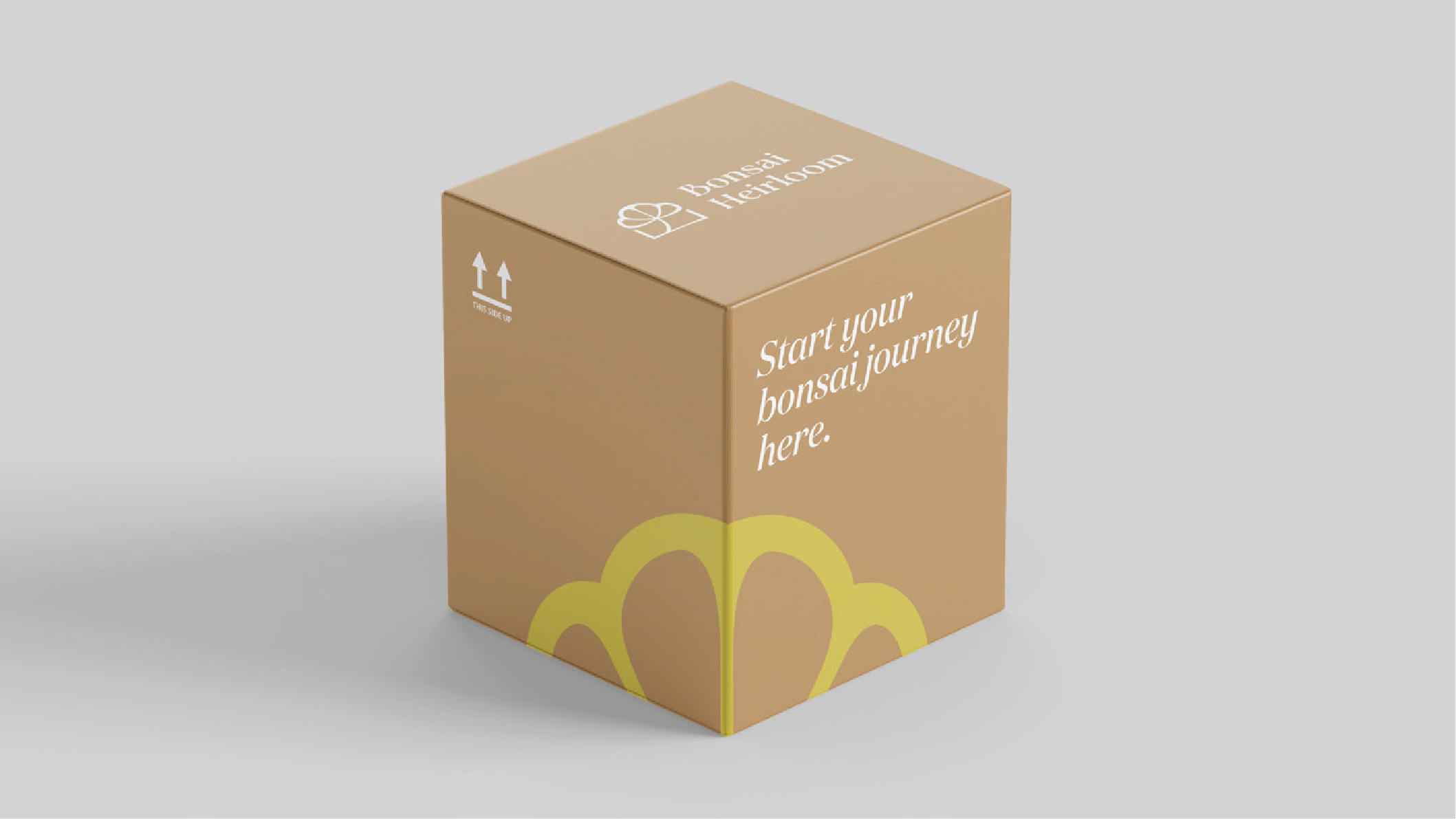 Bonsai Tree Box exterior mockup