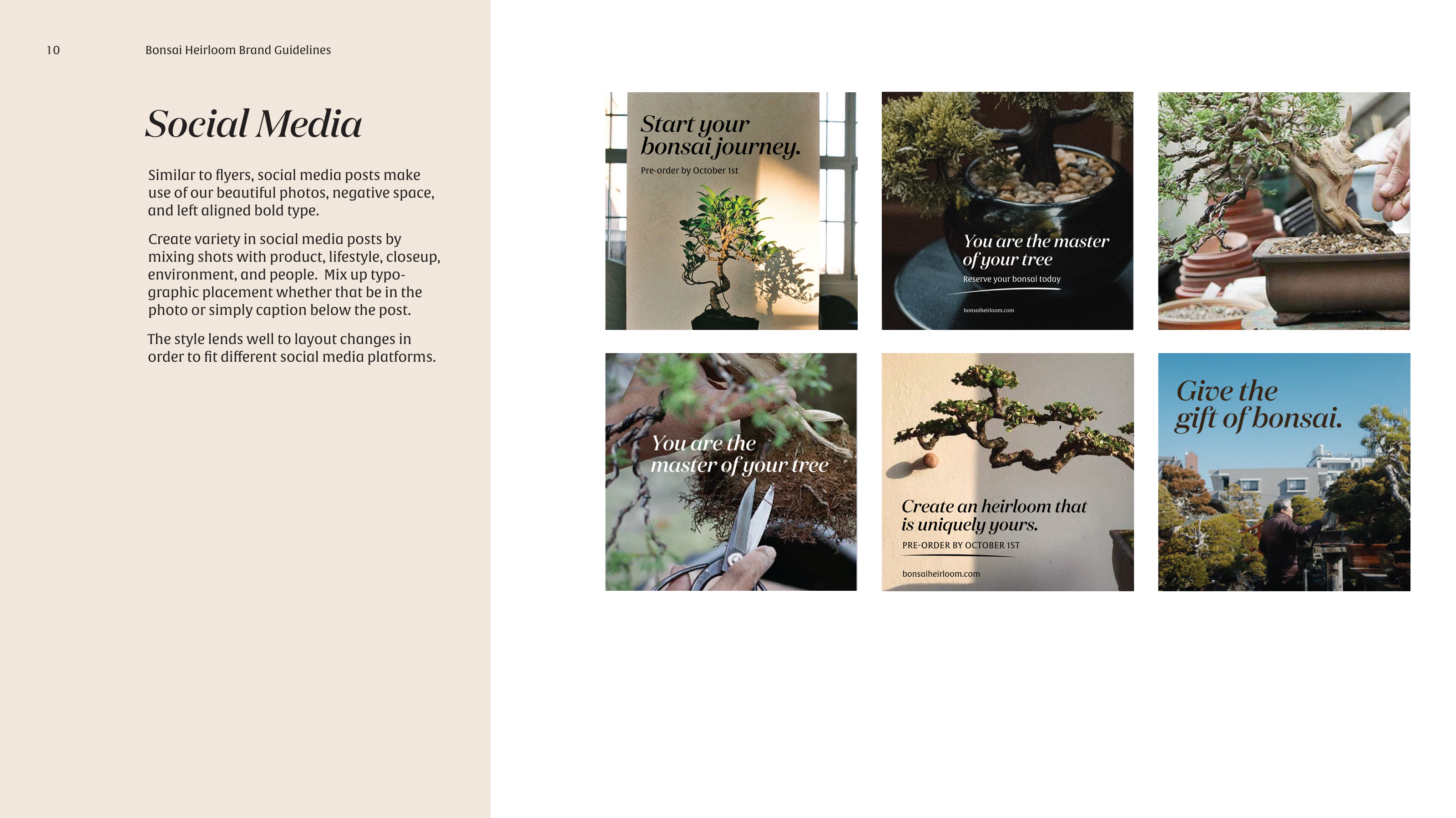 Bonsai Heirloom Social Media